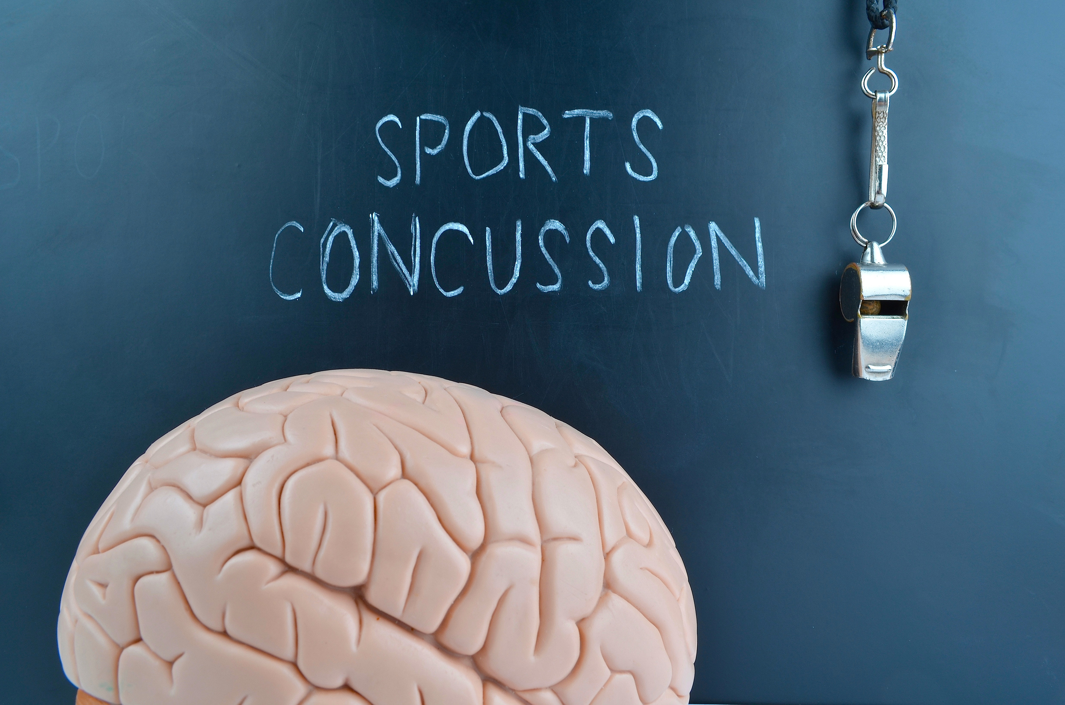 Chalkboard with 'Sports Concussion' written in chalk, plastic brain model, and hanging whistle symbolizing brain injury awareness and athlete safety.
